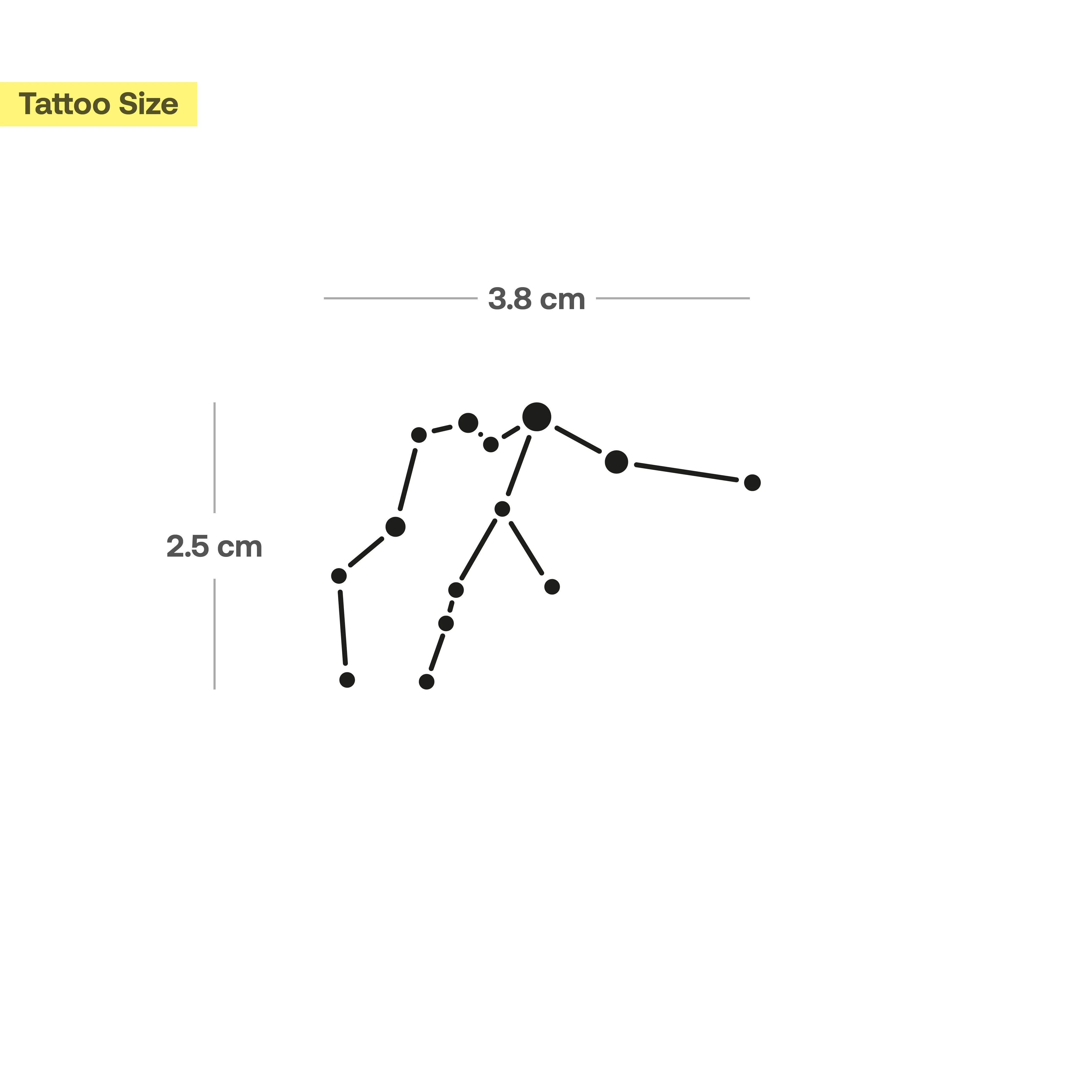 Tatouage Constellation du Verseau - Image 3