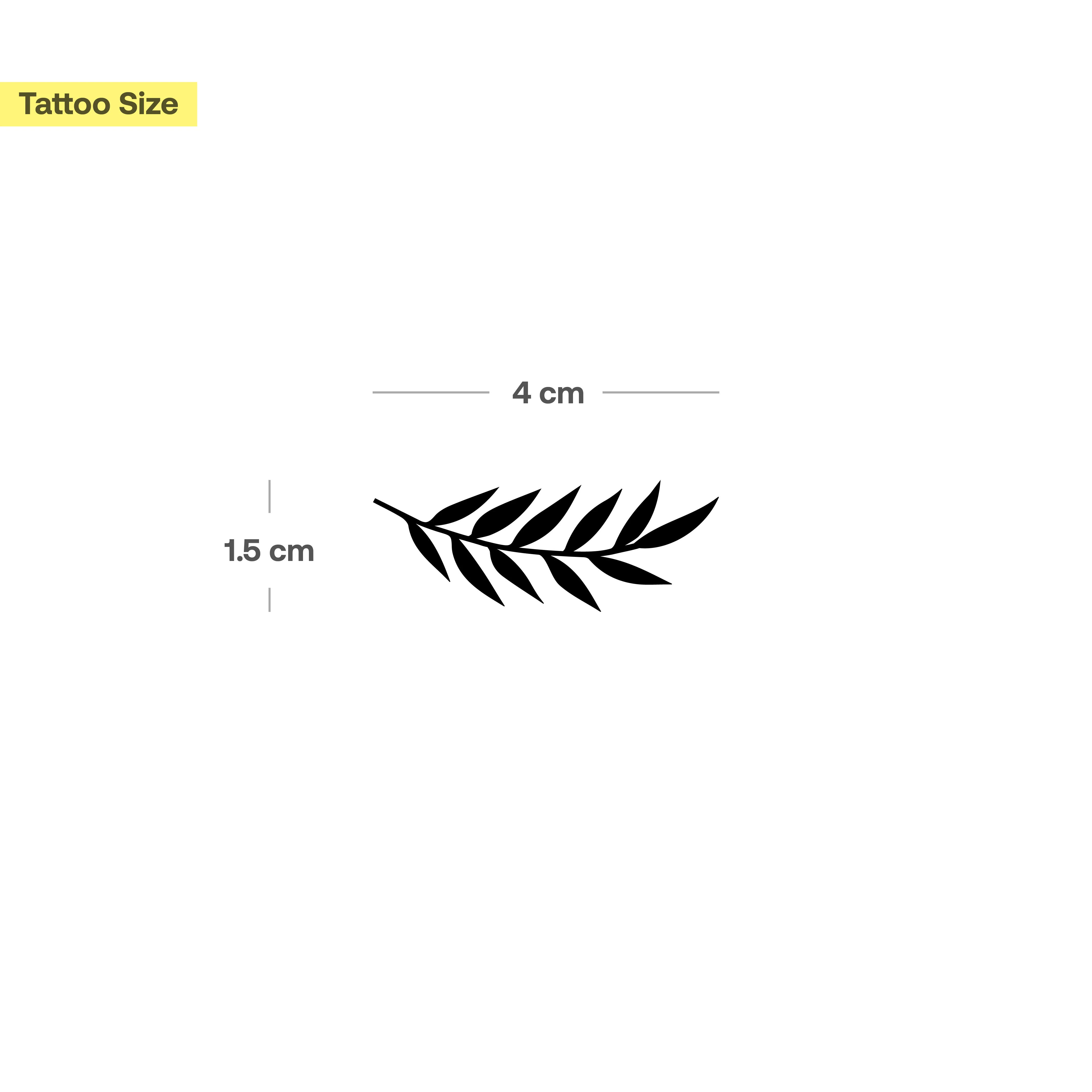 Tatouage Branche de Frêne - Image 3