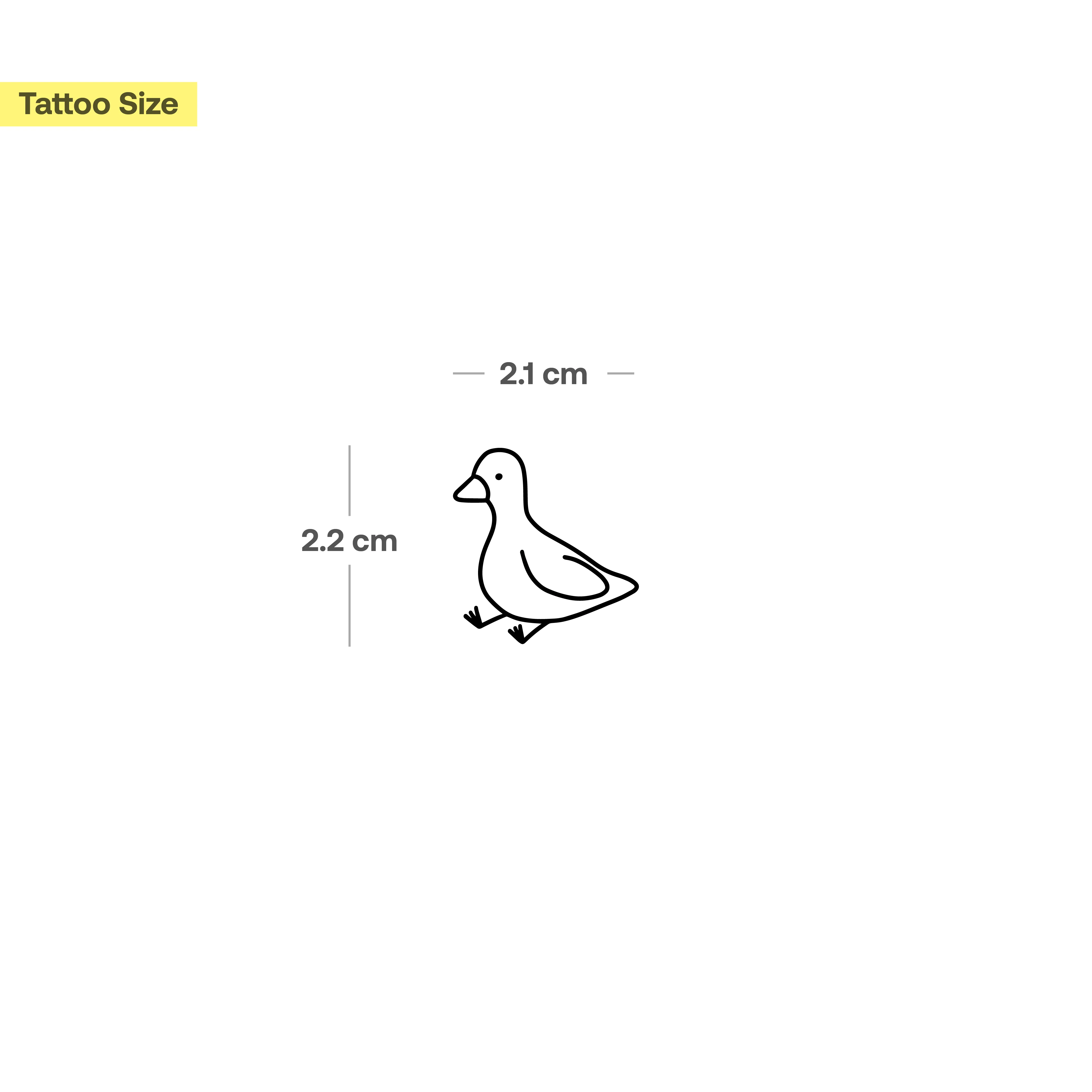 canard assis - Image 3