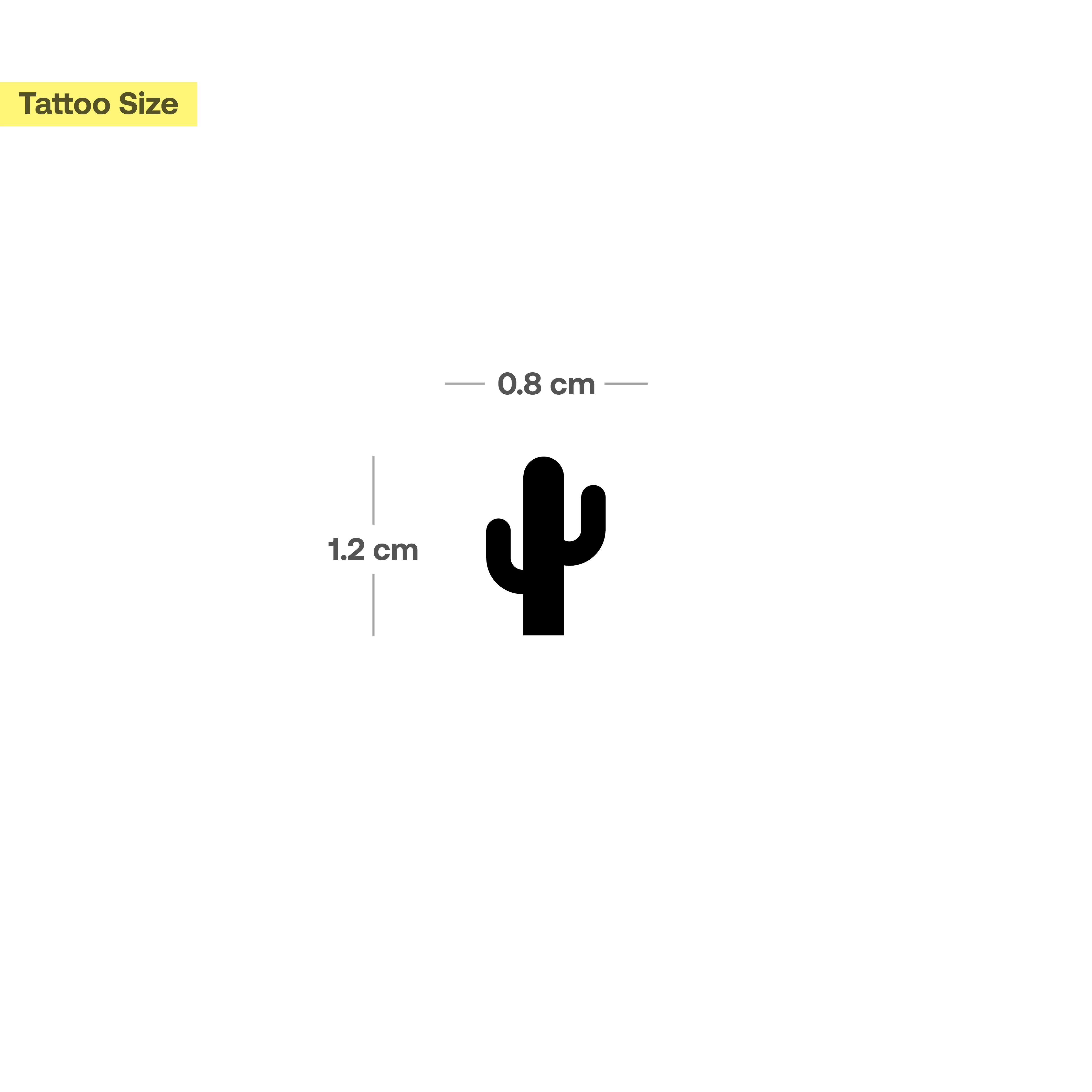 Mini cactus - Image 3