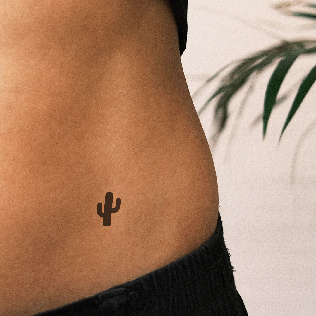 Mini cactus - Image 5
