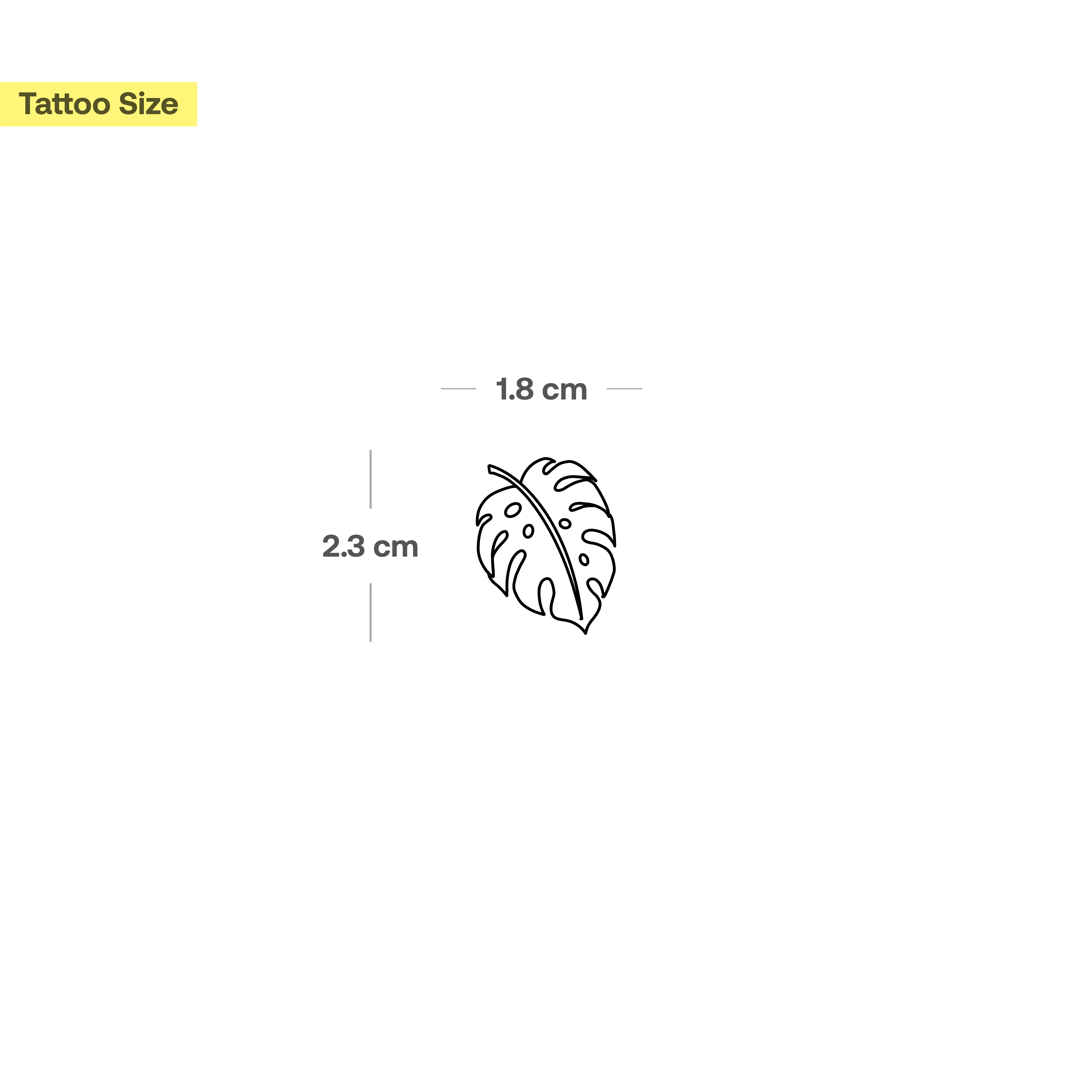 Kleine Monstera Tattoo - Image 3
