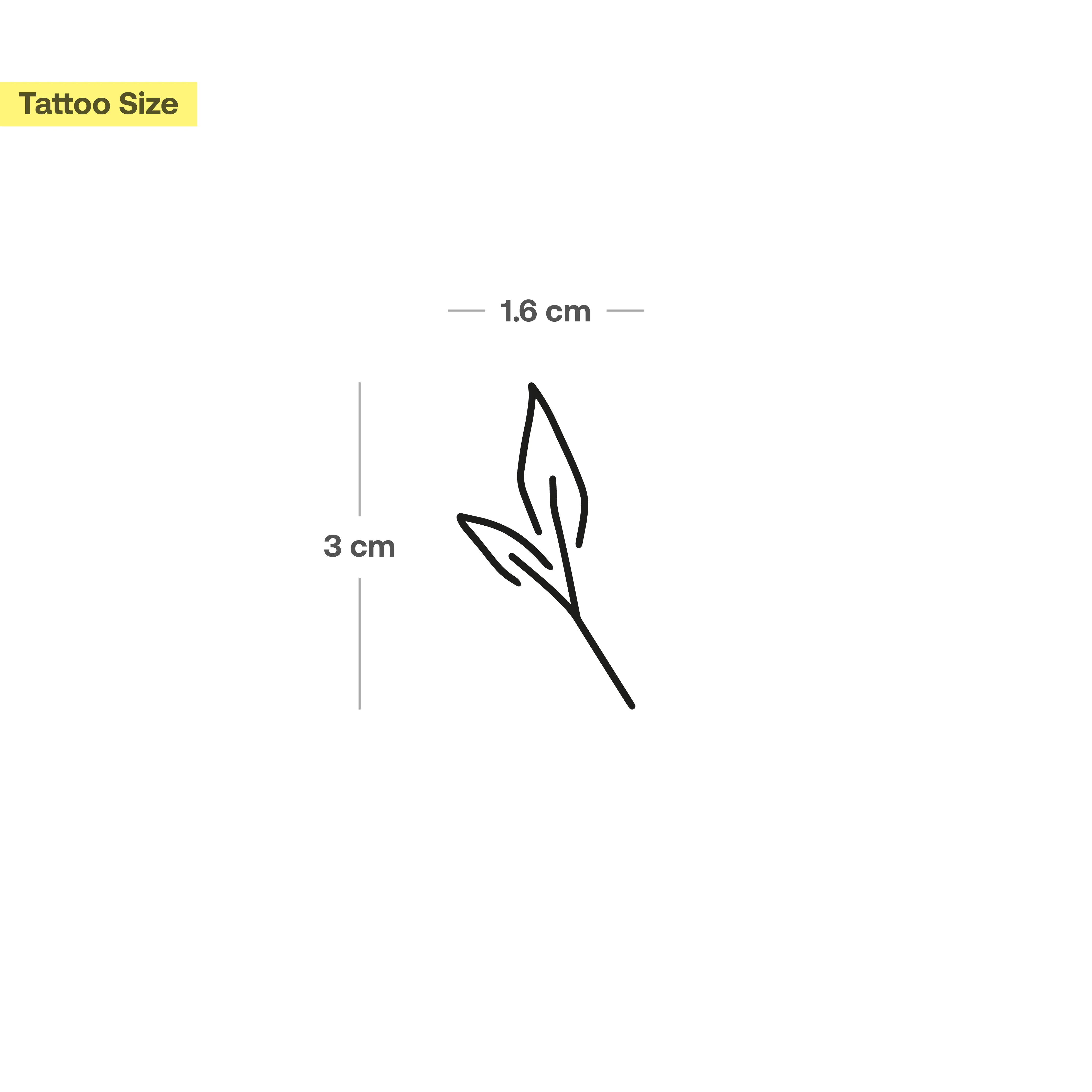 Tatouage petite plante - Image 3
