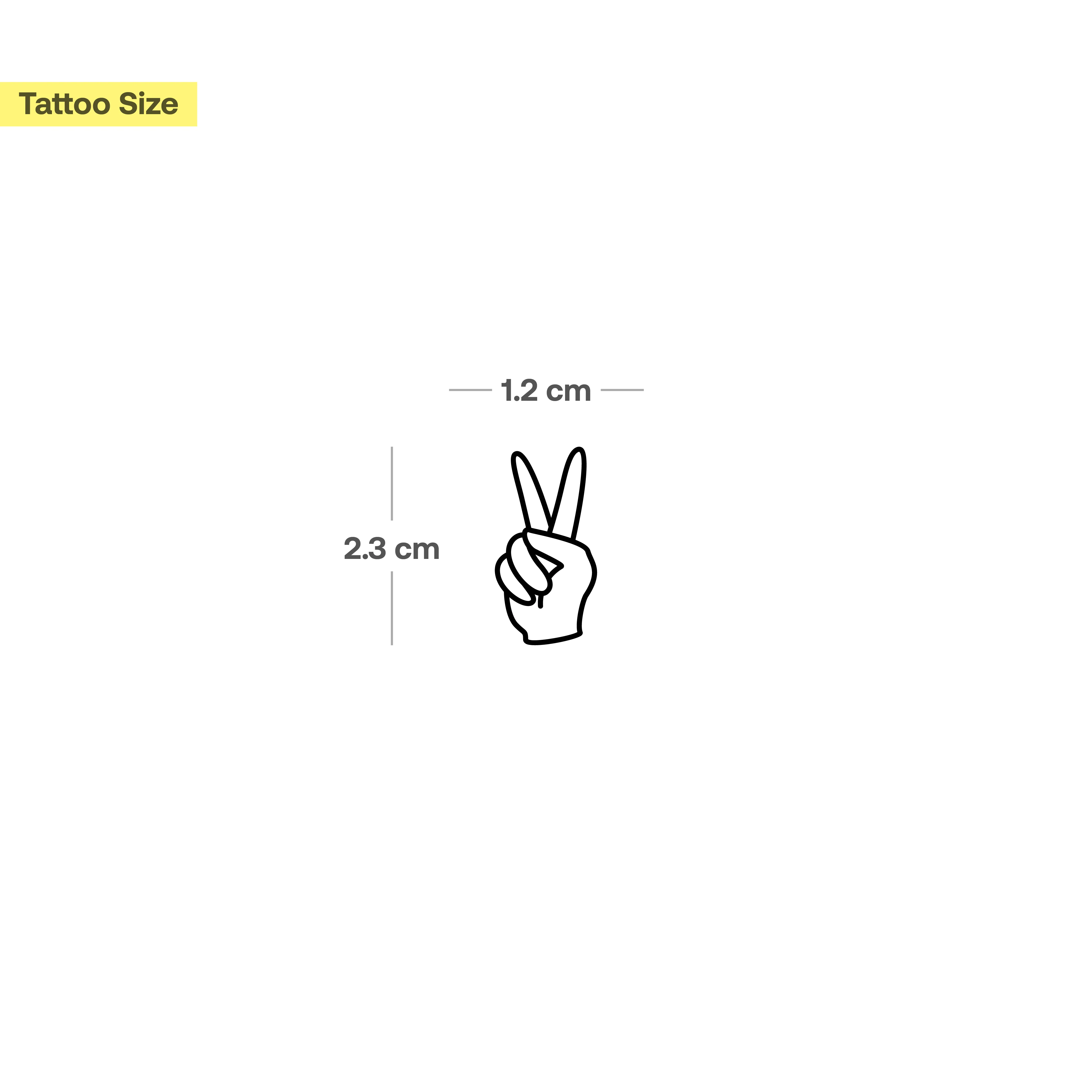 Signe V - Image 3