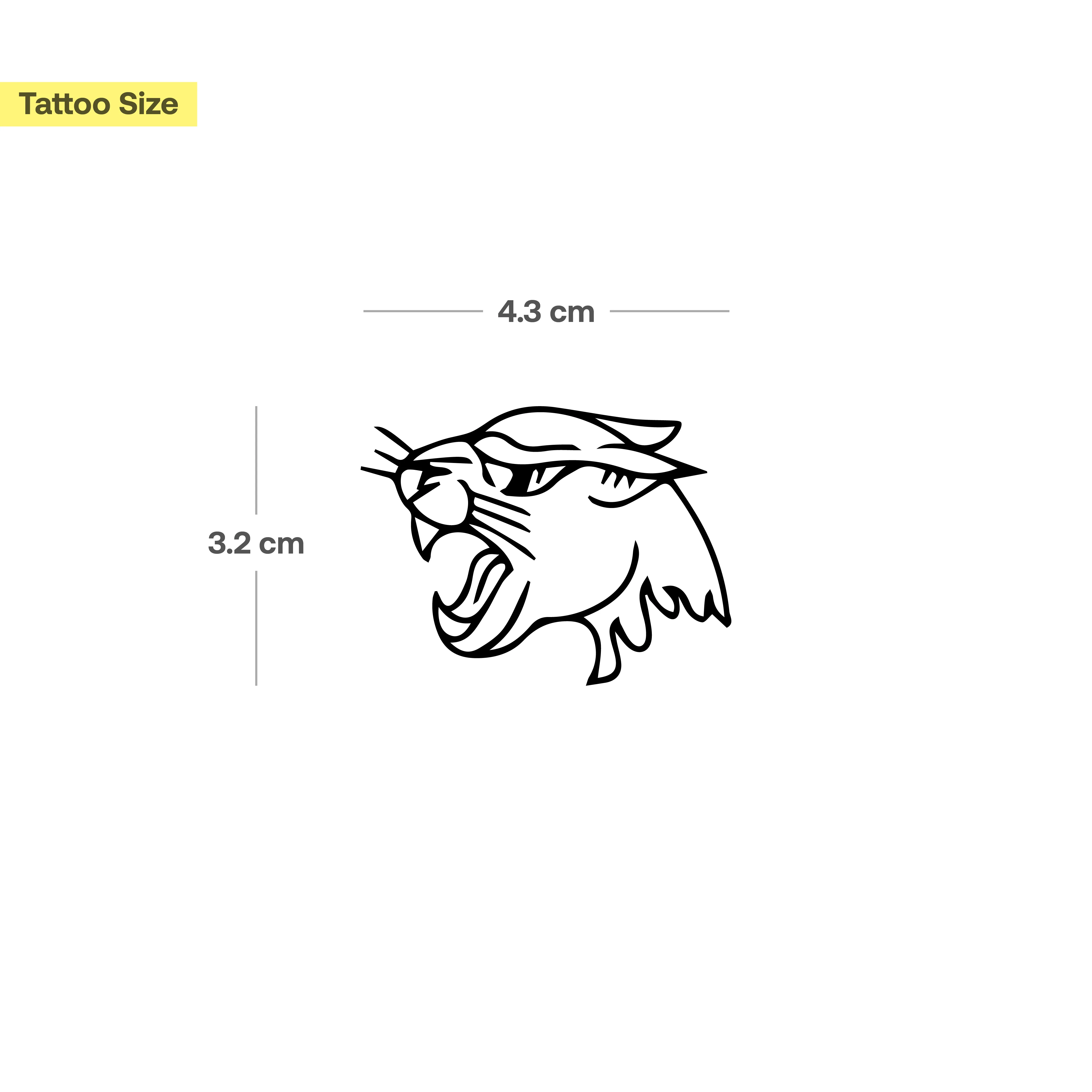 Puma Traditional - Image 3