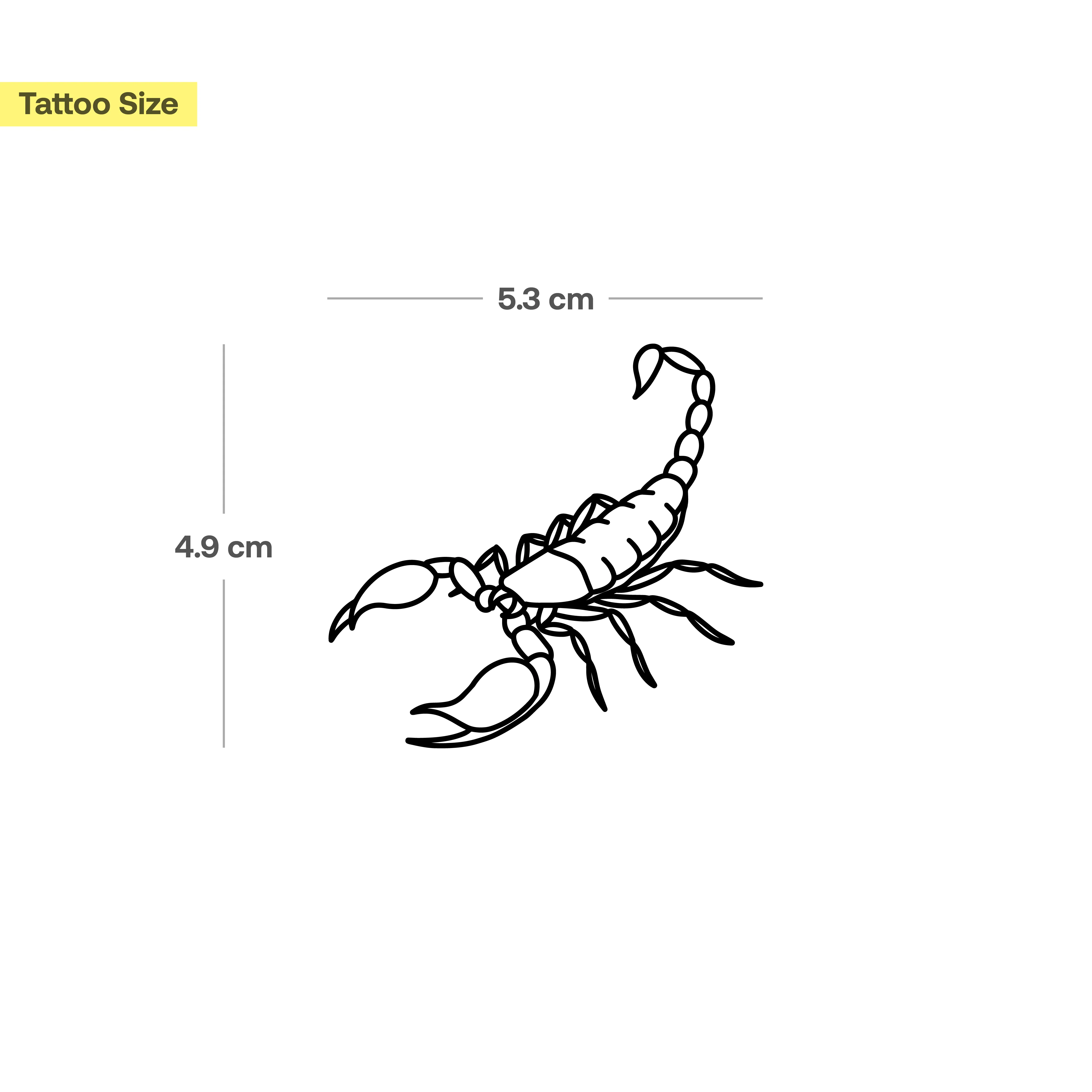 Scorpion - Image 3