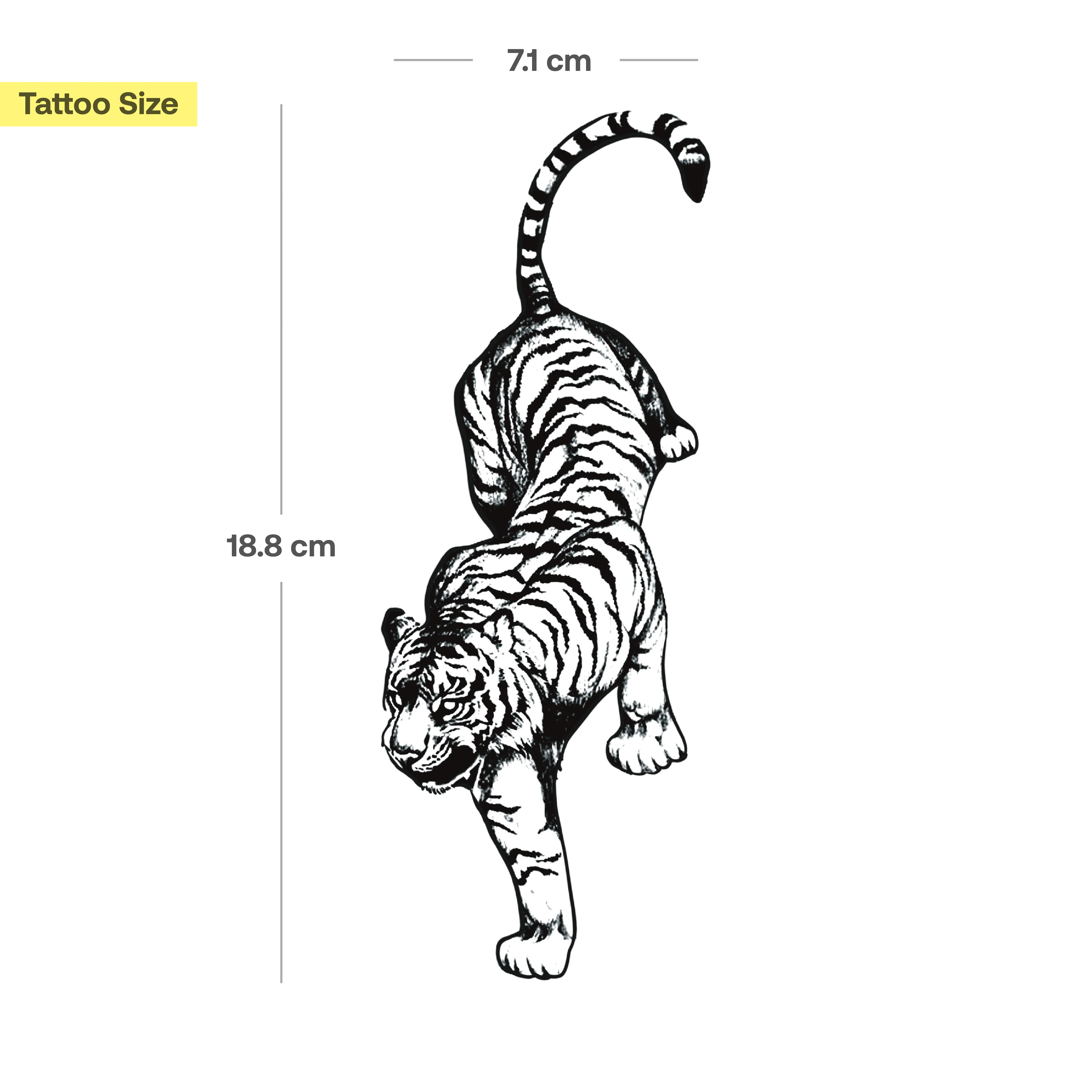 Tatouage Grand tigre - Image 3