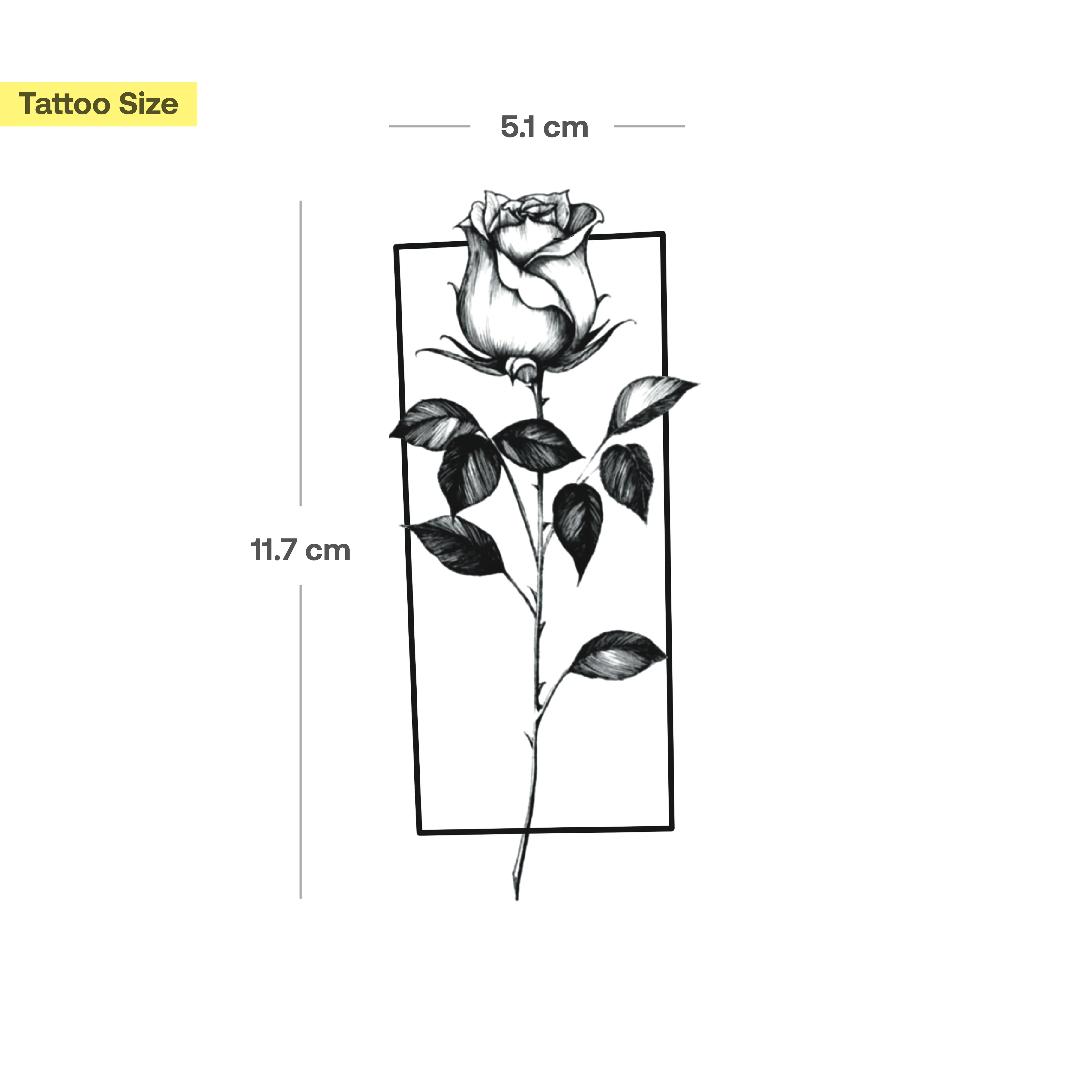 Tatouage Rose avec cadre - Image 3