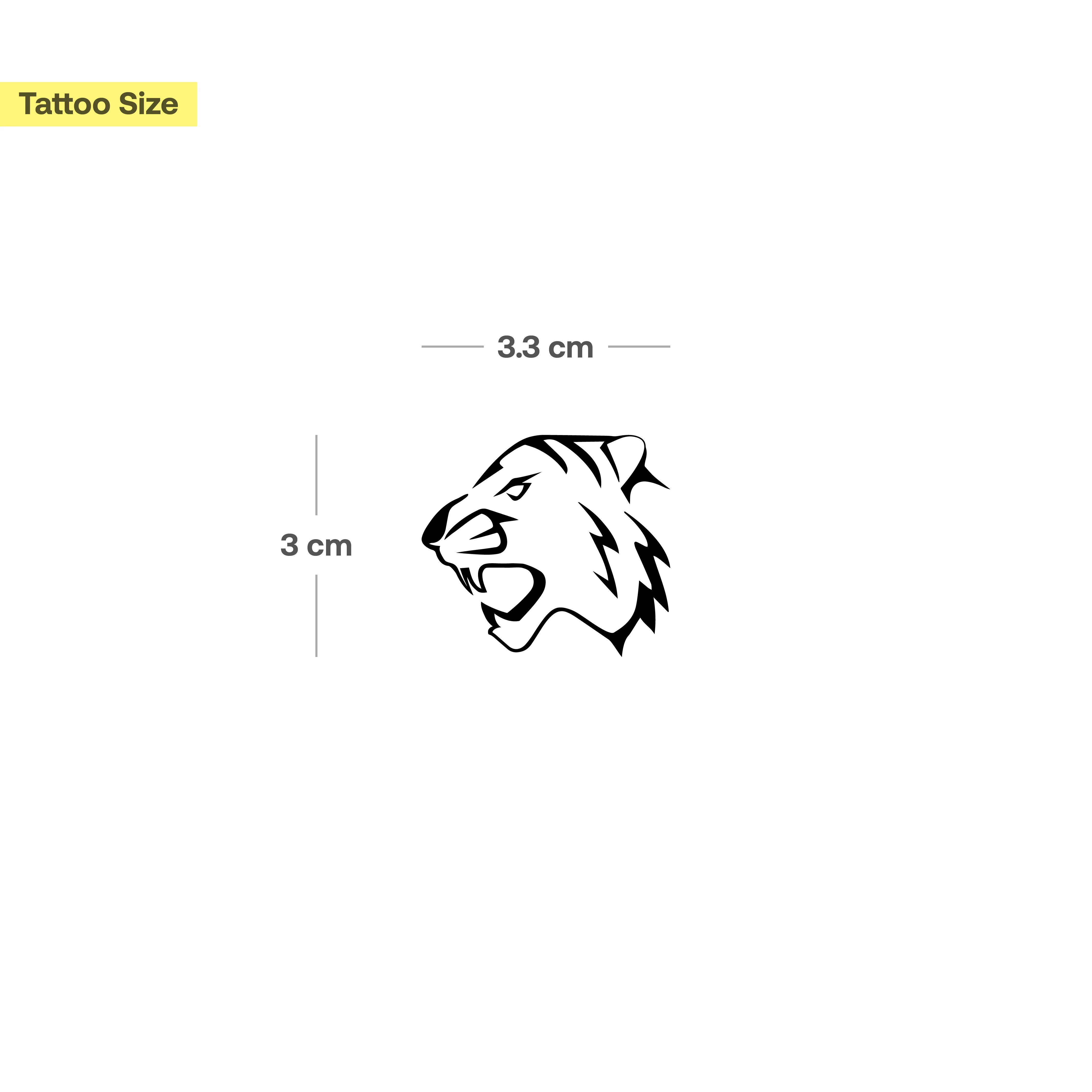 tête de tigre - Image 3